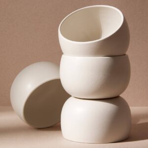 Stoneware Soup Bowl | EPA 17 oz