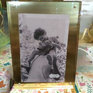 Mud Pie Small Brass Acrylic Frame; 5 1/2 " x 7 1/2 "