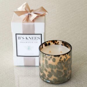 B's Knees Tortoise Ascension