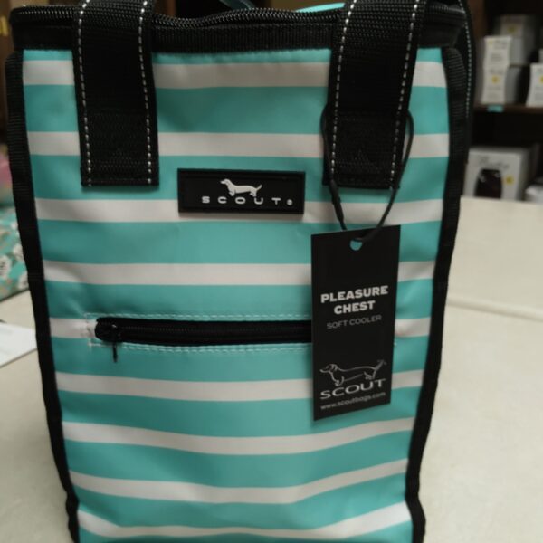 Scout Montauk Mint