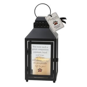 Pawprints Left By You Memorial Pet Loss  Lantern 6068