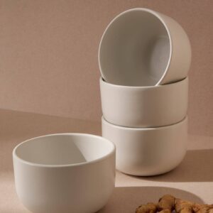 Stoneware Dinner Bowl | Youlha 25 oz