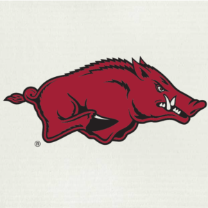 University of Arkansas Swedish Cloth