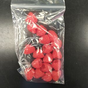 Rasberries Fake Food