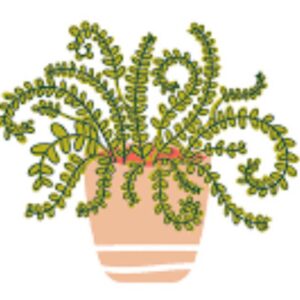 Happy Everything House Plant Big Attachnent