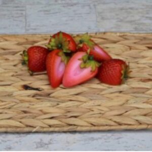 Just Dough It Red Strawberry Halves Fake Food