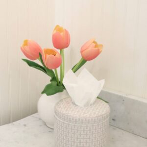 House of Happy Hattie Tissue Vessel