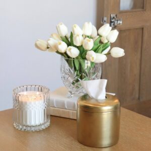 House of Happy Coco Tissue Vessel