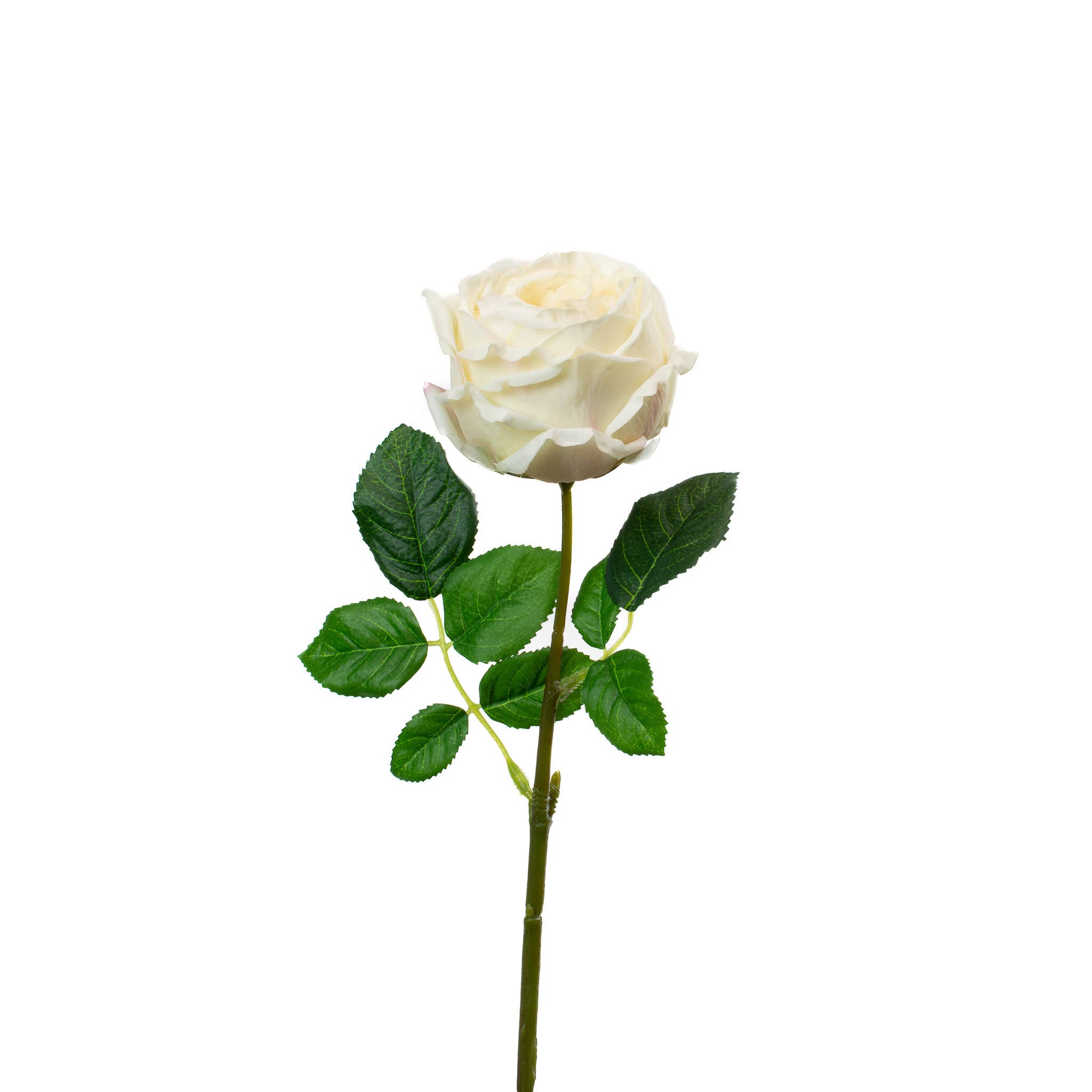 Real Touch Champagne 17" English Rose 1 Real Touch Champagne 17" English Rose