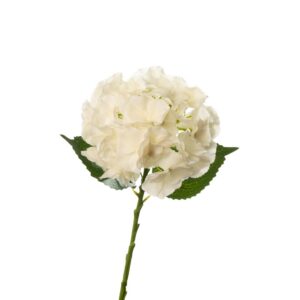 Real Touch Hydrangea - 20 Inch - Ivory