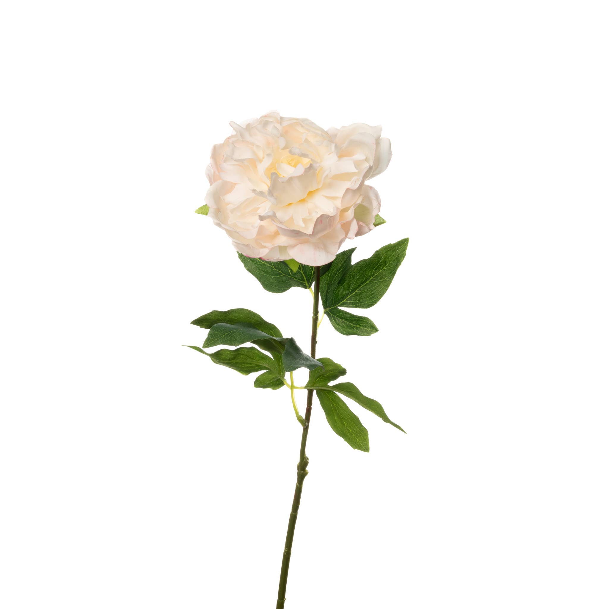 Real Touch Peony Stem - White Blush - 23 Inch 1 Real Touch Peony Stem - White Blush - 23 Inch