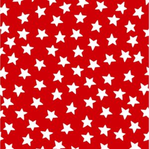 Crae Grand Star Pool Towel: Reversible
