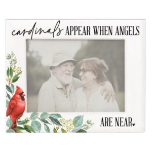 Sincere Cardinals Appear Frame