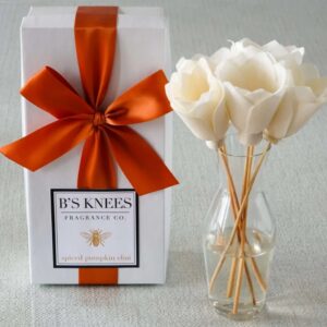 B's Knees Harvest Pumpkin Diffuser