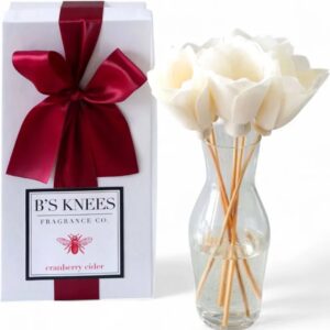 B's Knees Cranberry Cider Diffuser