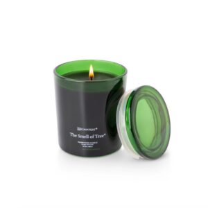 Aromatique Foundry Candle 10oz (Smell of Tree)